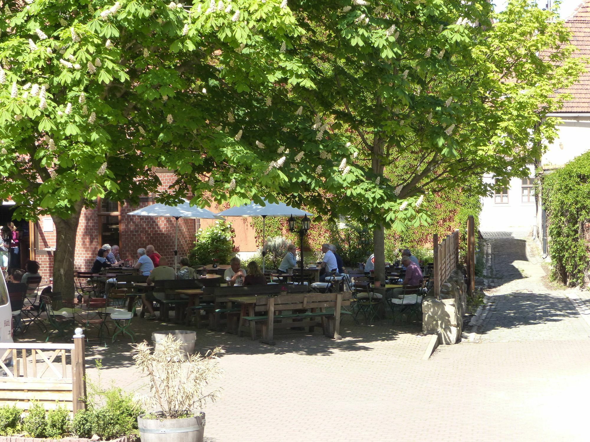 Hotel Zum Brauhaus Quedlinburg Ngoại thất bức ảnh